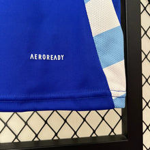 Load image into Gallery viewer, Argentina Away Jersey 2024

