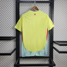 Load image into Gallery viewer, Spain Away Jersey 2024
