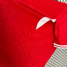 Load image into Gallery viewer, Denmark Home Jersey 2024
