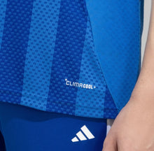 Load image into Gallery viewer, India T20 World Cup Cricket Jersey 2026
